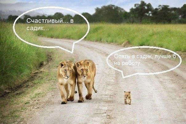 А у Вас так же?