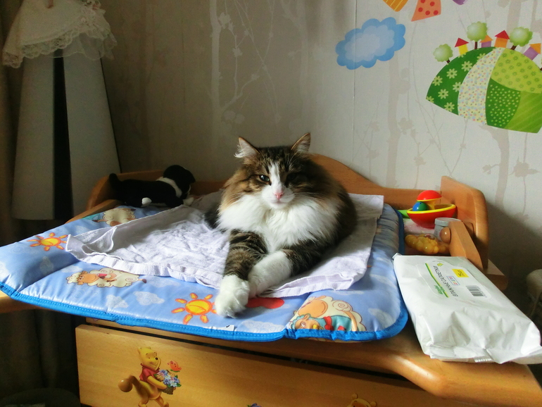 Фотомелочи