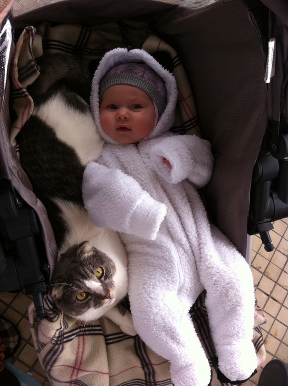 Место под солнцем (с)