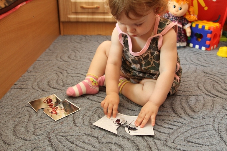 Отчет по ТН "Насекомые" . День 3 - Муравей