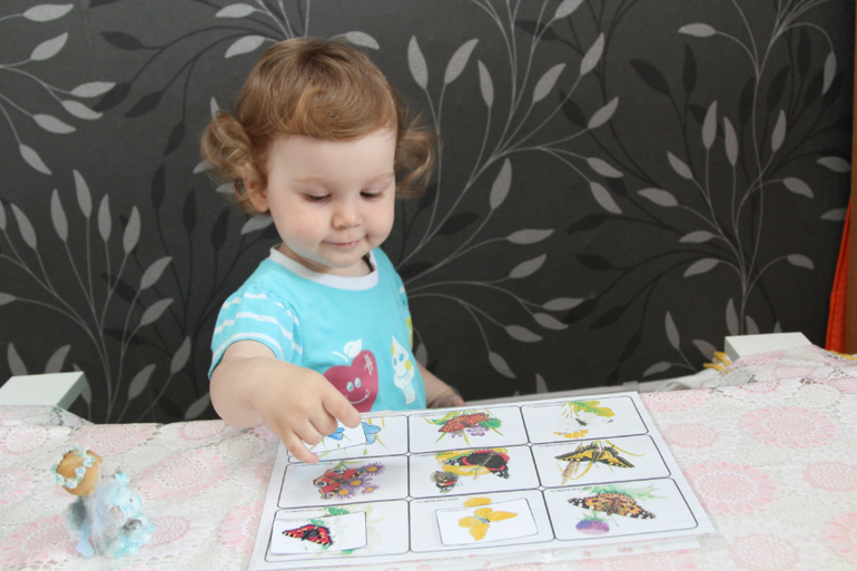 Отчет по ТН "Насекомые" . День 1 - Бабочка