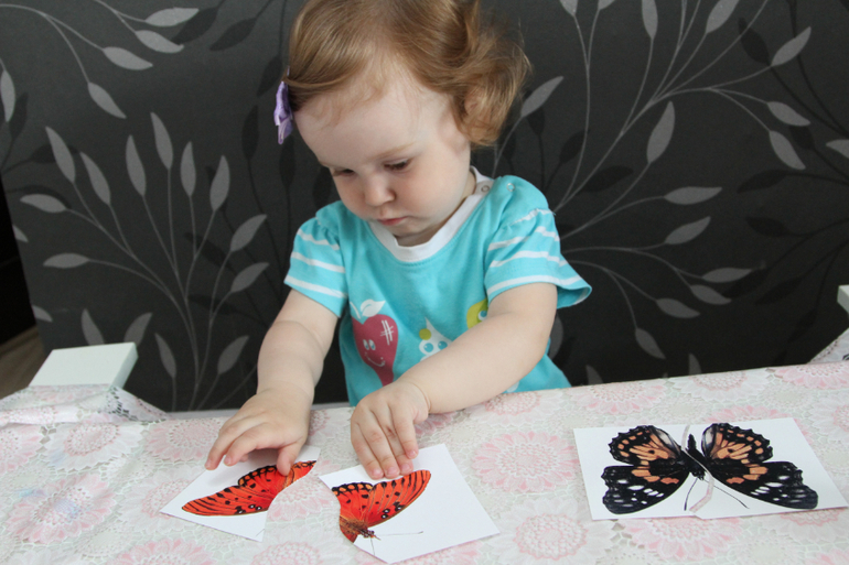 Отчет по ТН "Насекомые" . День 1 - Бабочка