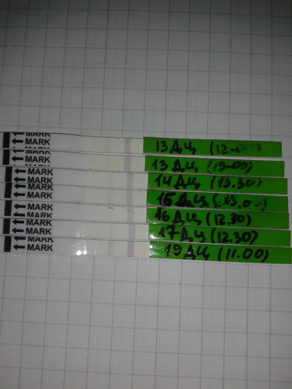 Ну и как это понимать?