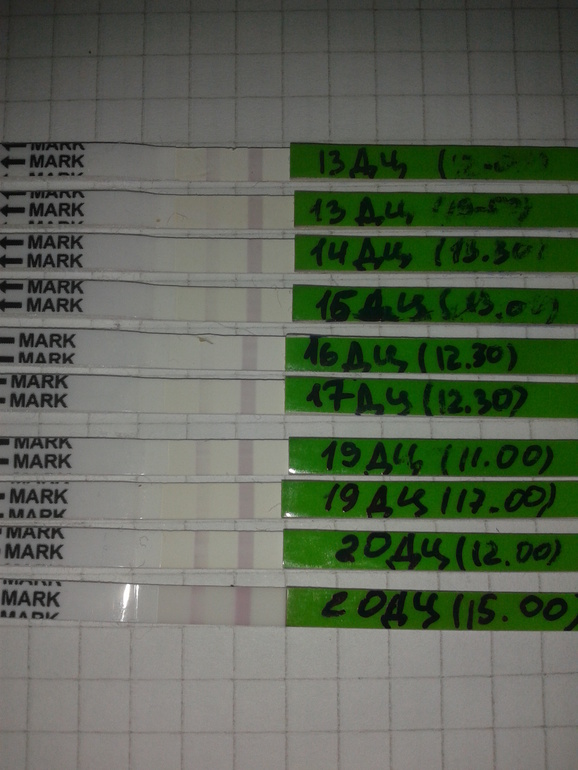 опять про овуляцию,БТ и тесты...