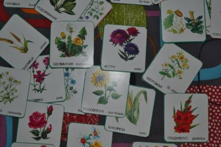 Т3 Корова, молоко, творог.