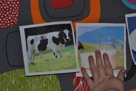 Т3 Корова, молоко, творог.