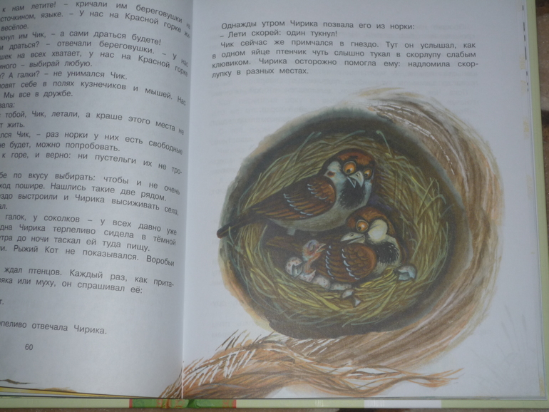 Сегодня к нам приехали...