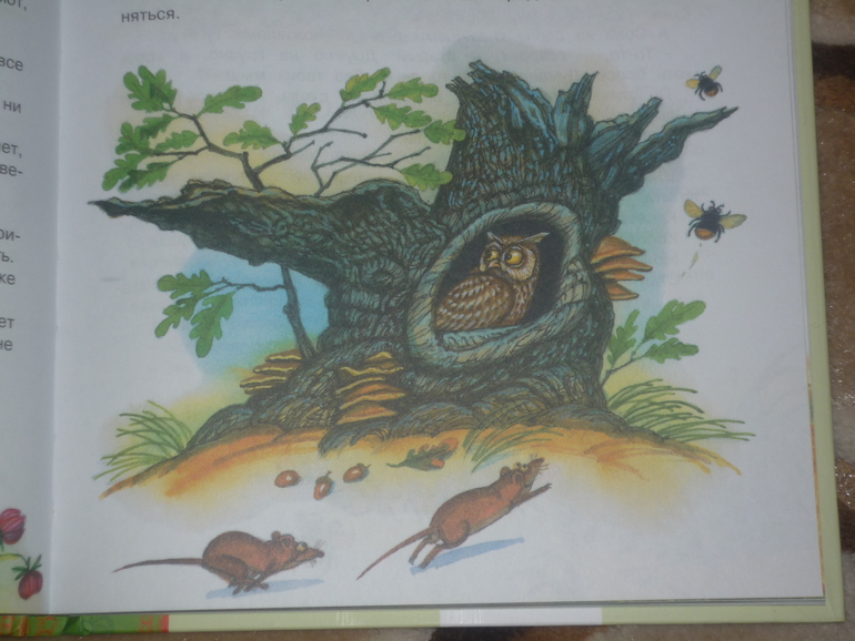 Сегодня к нам приехали...