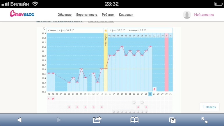 Девочки! Что думаете?