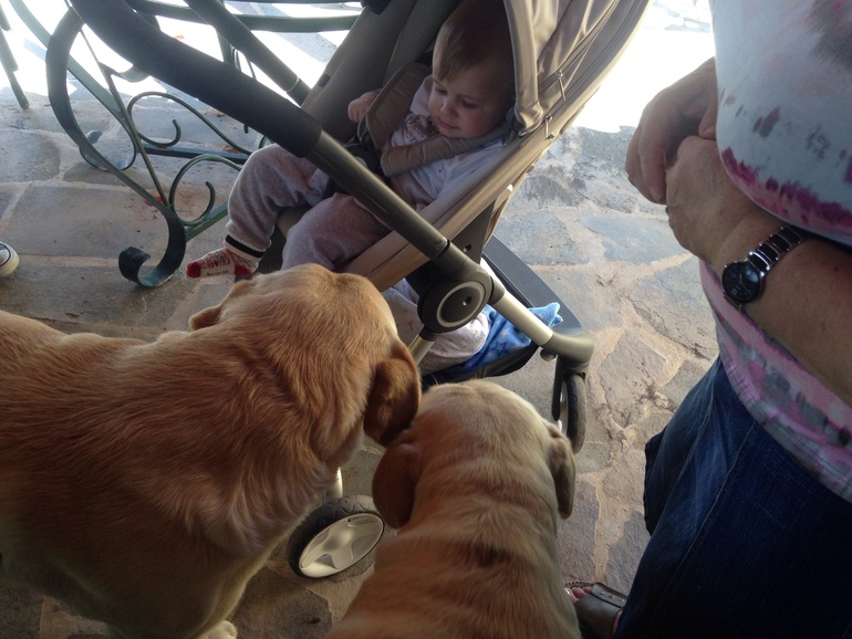 f5f44da73fc21dad52b9dda4869a0254.jpg