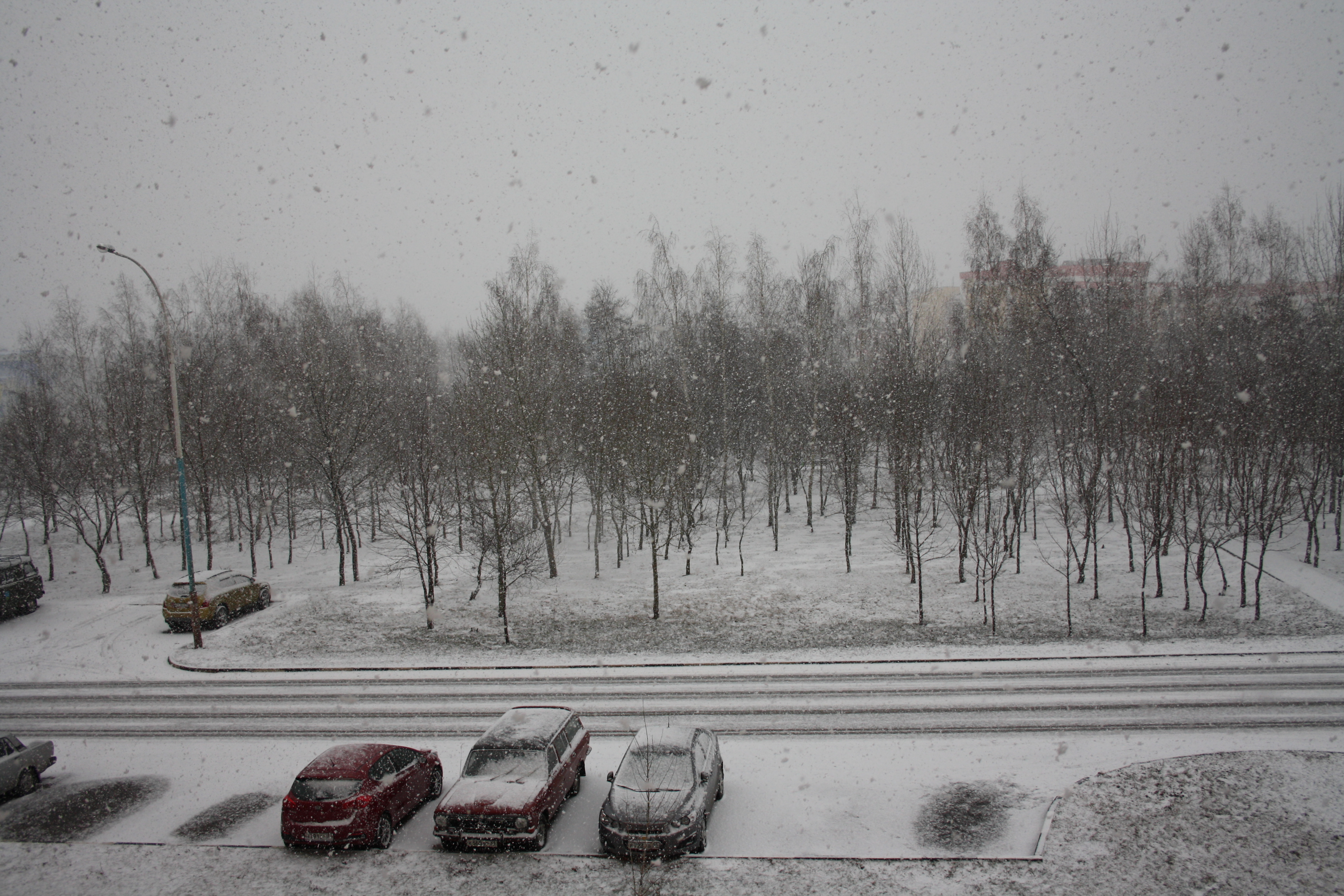 наш малюсенький фотосетик