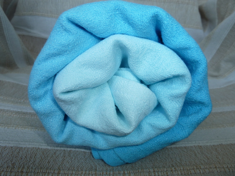 Оршанский лён