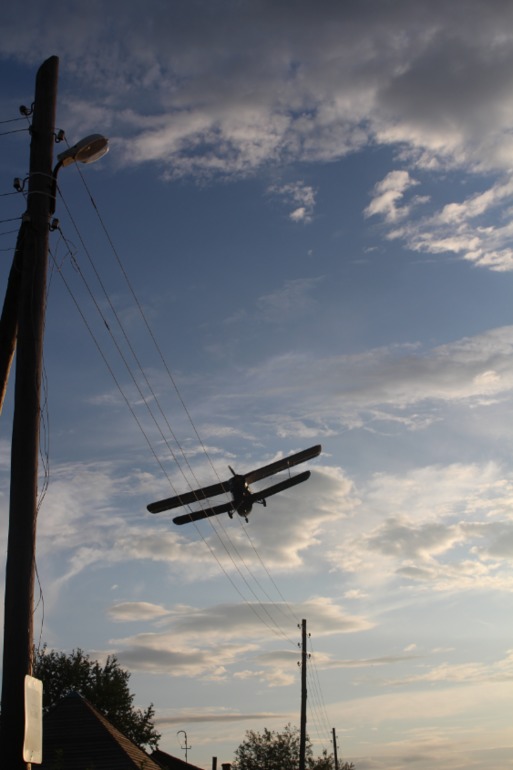 Наше летнее полугодовасие!!!!