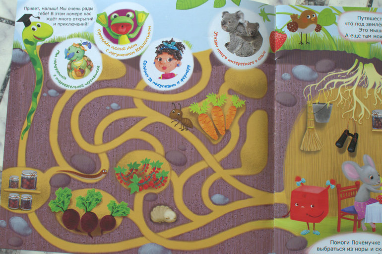 ТН "Ягоды". Смородина