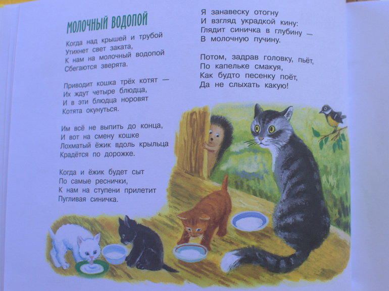 Библиотечный улов-2