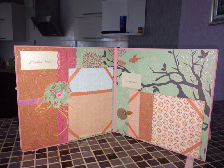 Мой  первый альбом для маленькой Софии