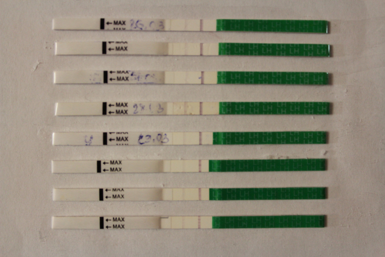 Была ли овуляция?