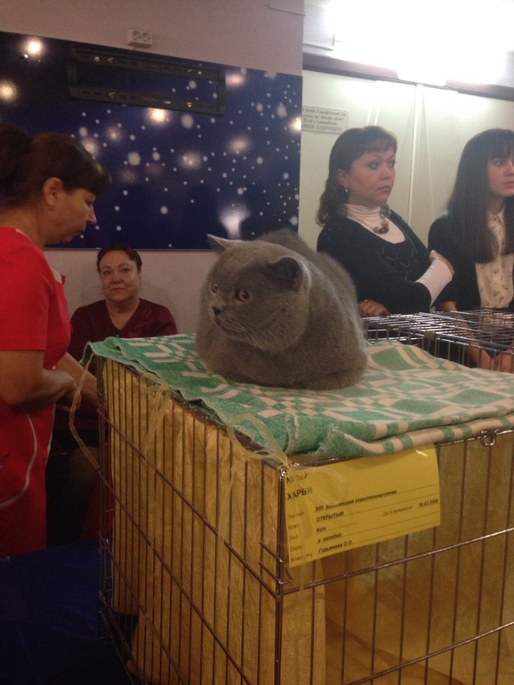 Мурмурмур:)