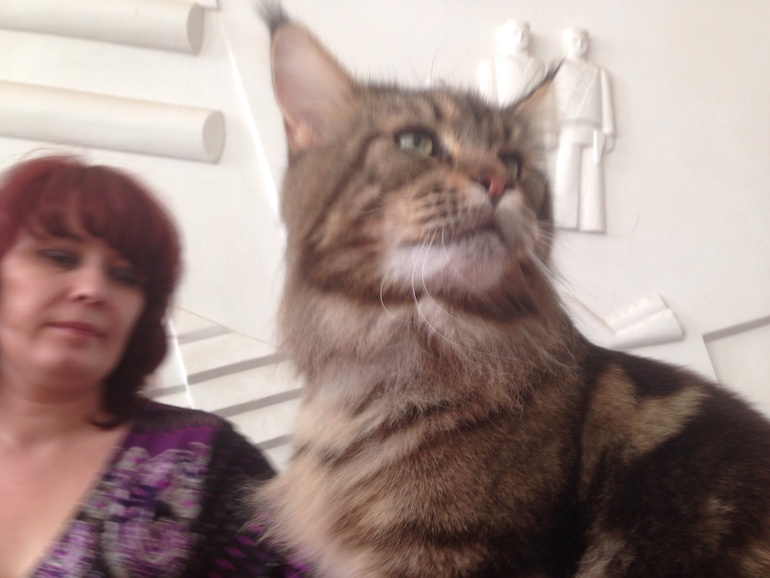 Мурмурмур:)