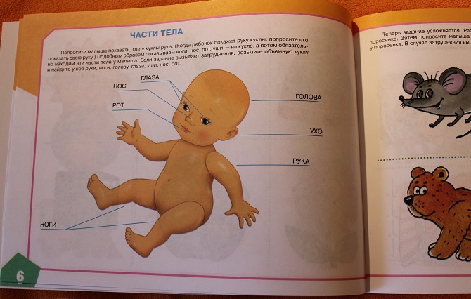 Как мы начали учить слова)