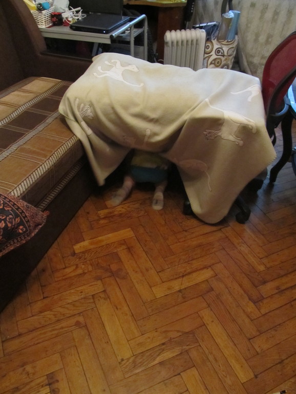 ватутинские фоточки . лучше поздно, чем никогда ))