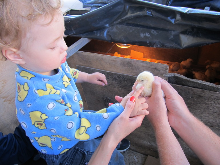 ватутинские фоточки . лучше поздно, чем никогда ))