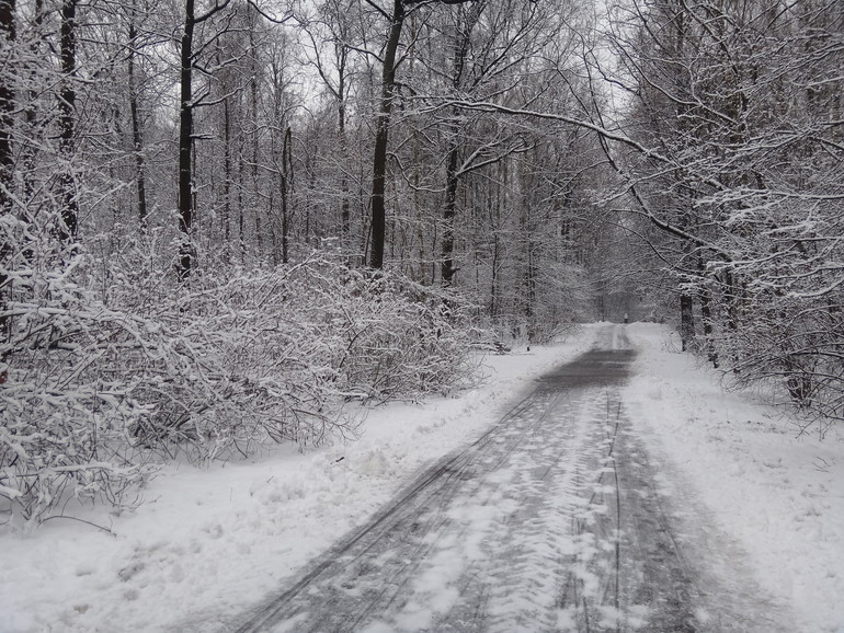 прогулочное