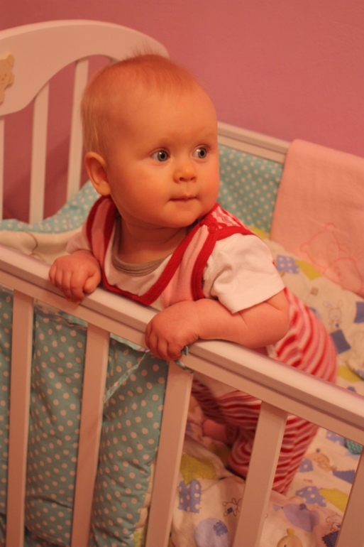 Наши счастливые 8 месяцев и первый Новый Год