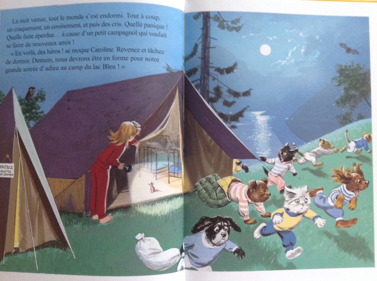 Серия книг про Каролин и ее питомцев- из Франции