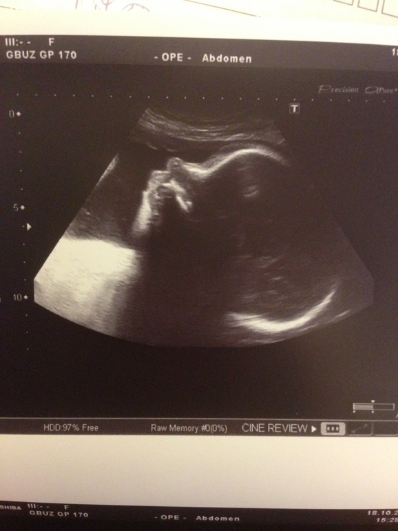 Максим Максимыч, мой котик