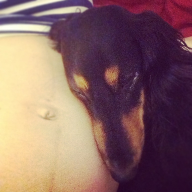 Дружат мои зайки))