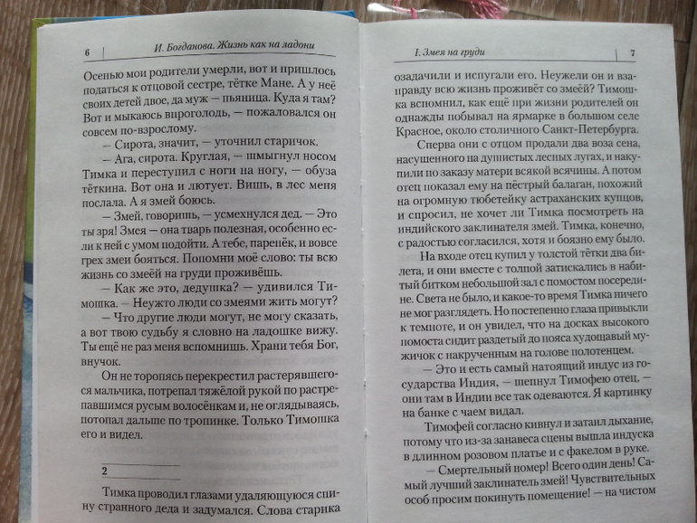 Дневник читателя за этот учебный год. 12 лет.
