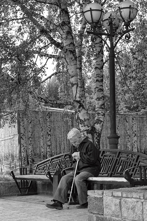 Наше сибирское лето .