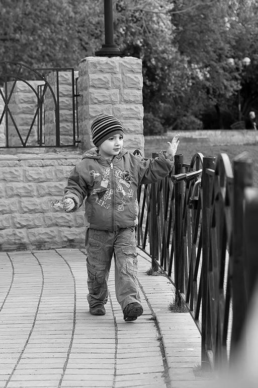 Наше сибирское лето .