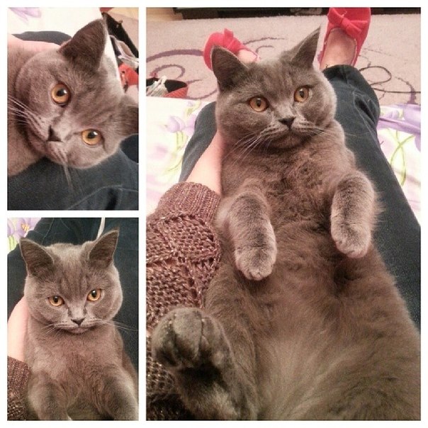 Мы подросли!))