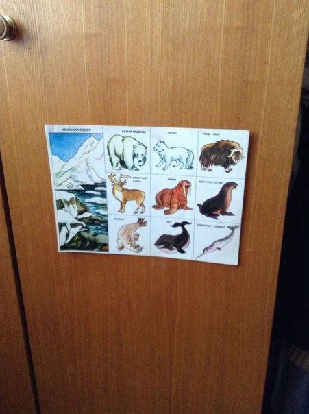 Царство холода и льда