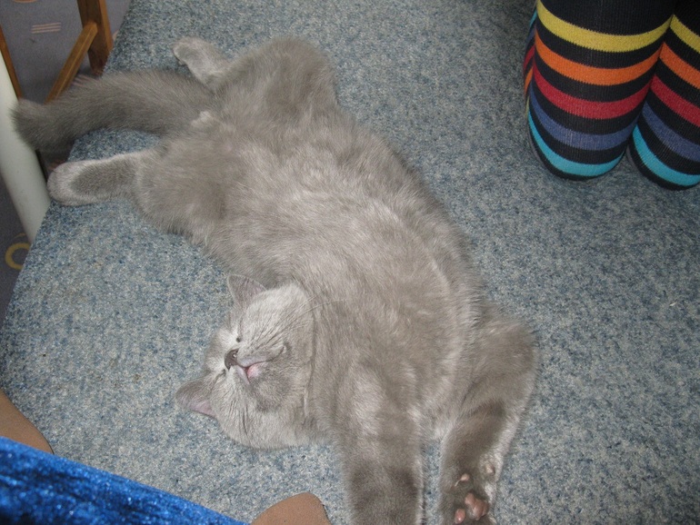 И нам всего 3 мес. и вес уже почти 2, 5 кг. Что дальше то будет????