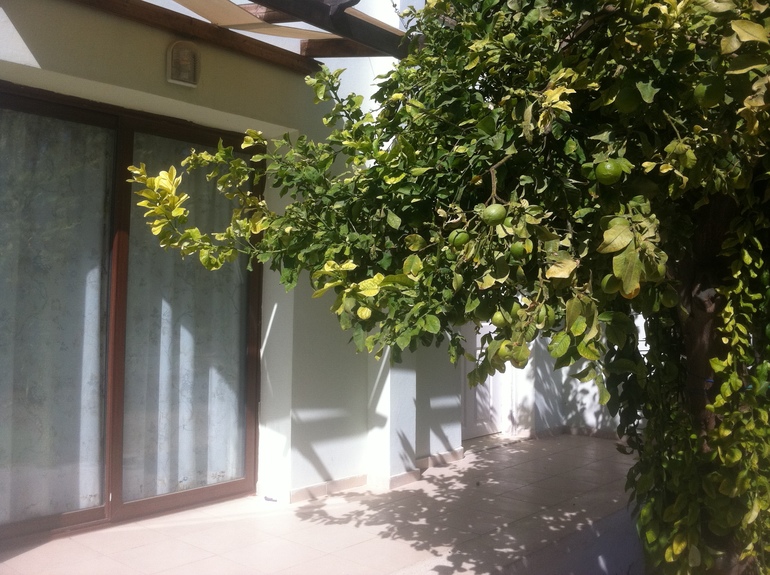 Северный Кипр- Кирения. вилла в 10 м от моря- от 60 000 рублей в месяц