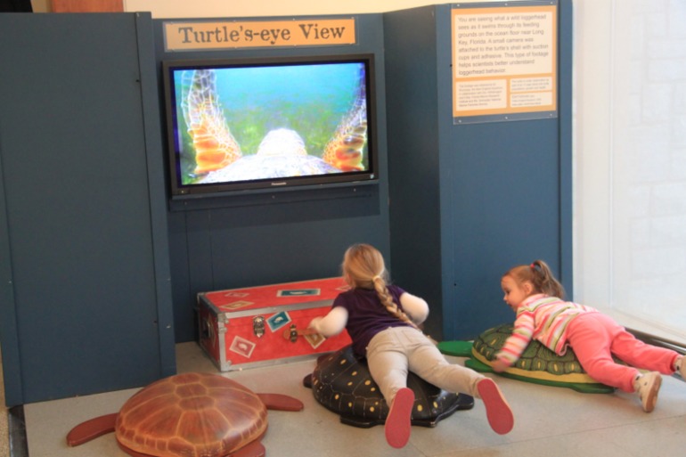 Environmental museum & Mall of Georgia