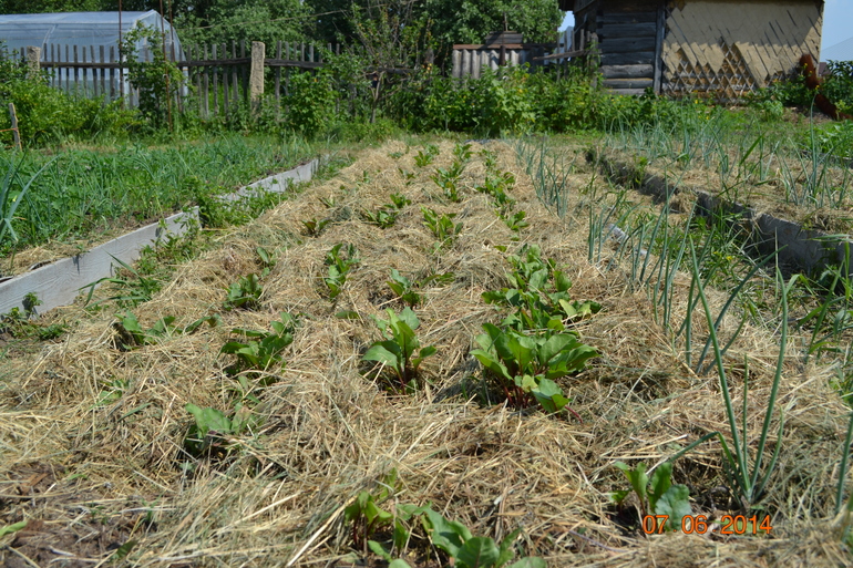 эстафета в доме, пятница