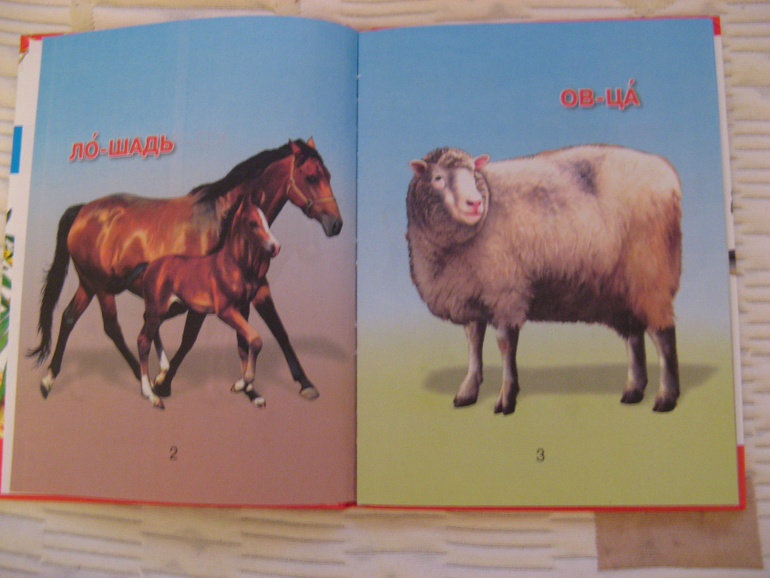 Продам и отдам