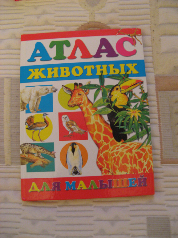 Продам и отдам