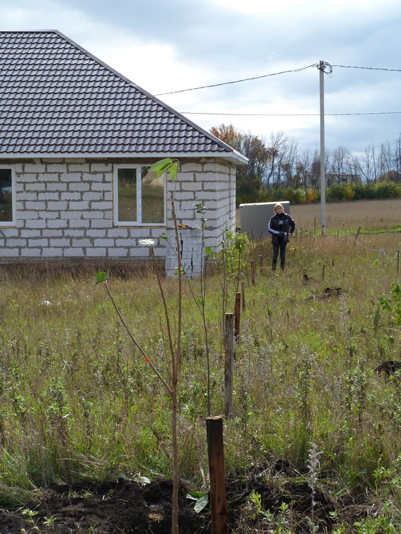 Строим наш дом 6