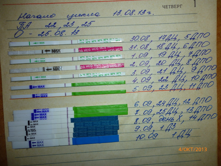 Интуиция не подвела)