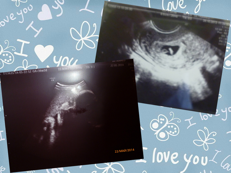 Девятимесячный отчет!!!!!!!!!!!!