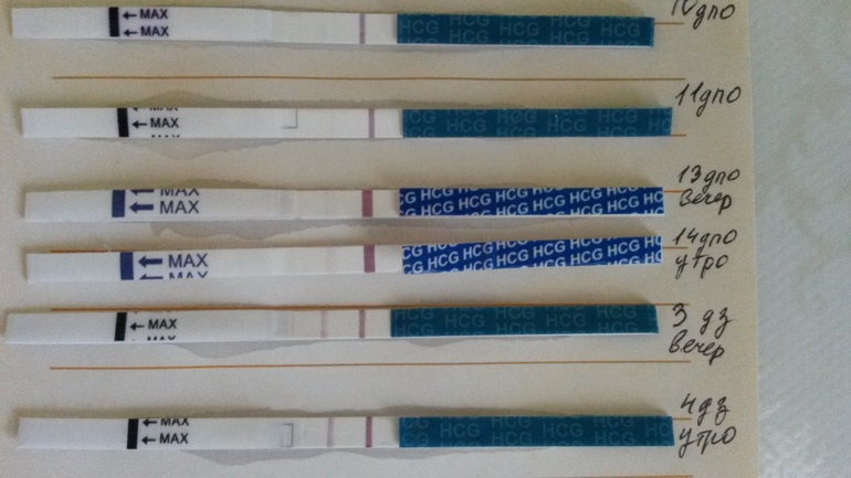 Тест показал беременность на 10 день задержки