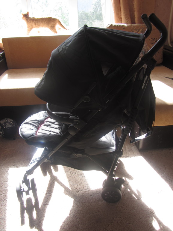 Еasywalker mini buggy Наша первая трость