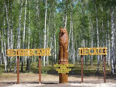 Продается дом с участком в Тамбовской области.