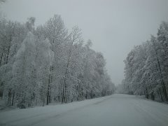 Продается дом с участком в Тамбовской области.