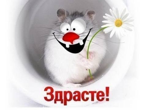 02ce6fe6ed0876b9c0d6782ebed141ee.jpg
